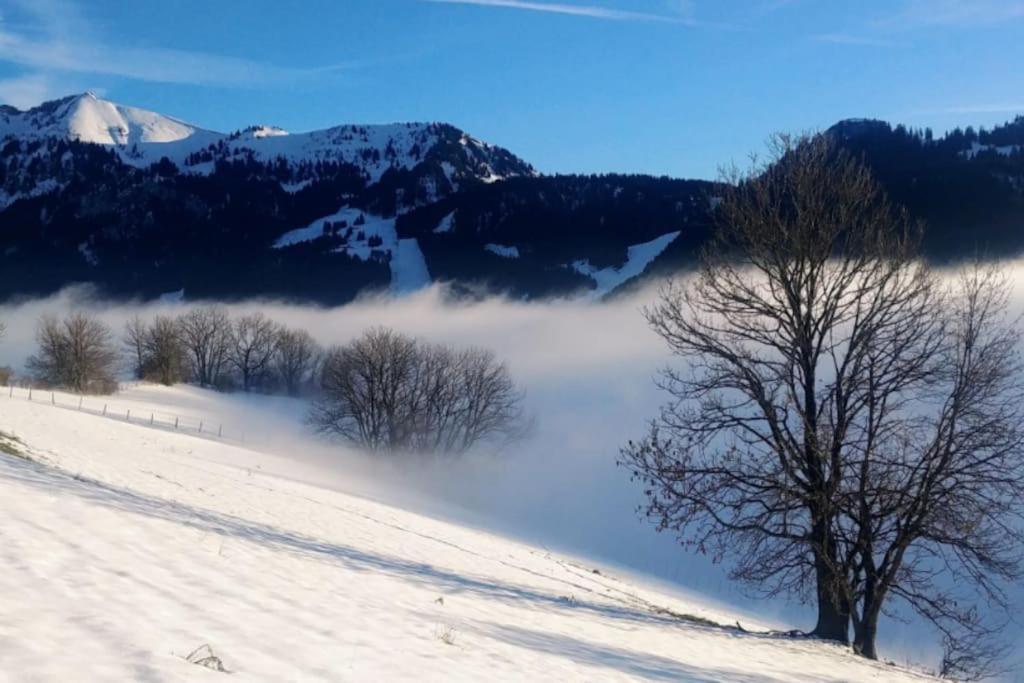 Apartamento Jolie Vue Au Calme Évian-les-Bains Exterior foto